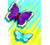 butterfly10.jpg